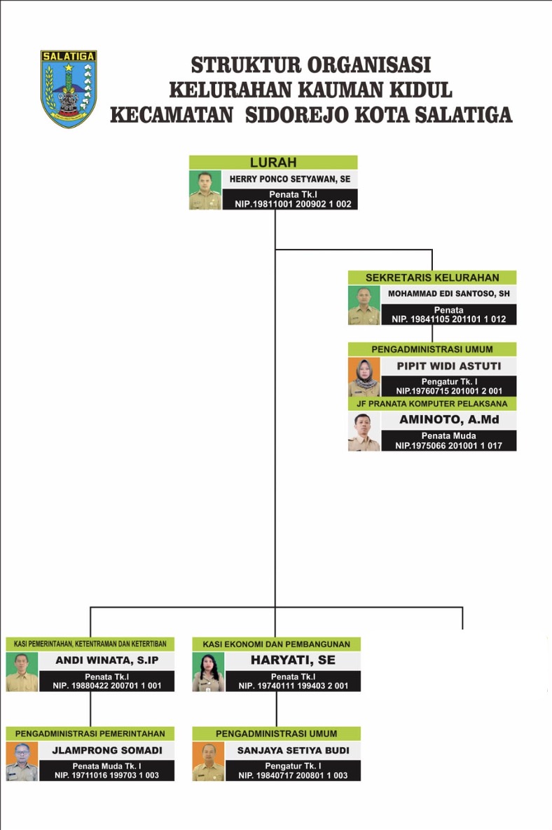 Bagan Struktur Organisasi Kelurahan